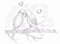 Starlings in love